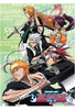 Soul Reaper Anime WallScroll