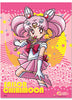 S Sailor Chibimoon Anime WallScroll