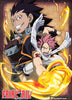 Natsu Fire Fist & Gajeel Anime WallScroll