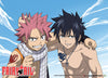 Natsu & Gray Anime WallScroll