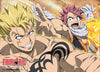 Fairy Tail Anime WallScroll