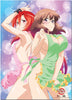 Lisara & Mina Anime WallScroll