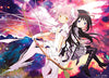 Ultimate Madoka & Homura Anime WallScroll