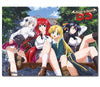 Group Anime WallScroll