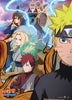 Naruto Allies Anime WallScroll