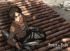 Eren Anime WallScroll