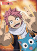 Natsu & Happy Anime WallScroll