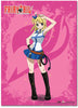 Single Shot Anime WallScroll