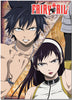 Gray VS Ultear Anime WallScroll