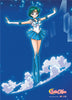 Sailor Mercury Anime WallScroll