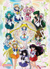 Sailor Soldiers Floral Anime WallScroll