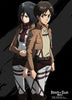 Eren And Mikasa Anime WallScroll