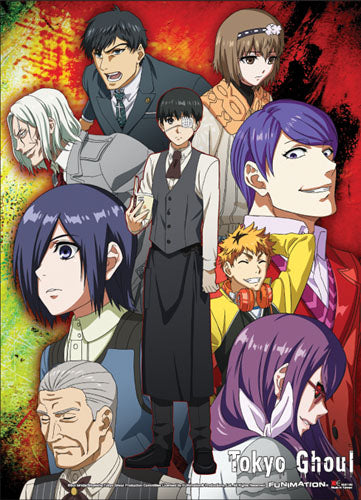 Tokyo Ghoul Special Edition Group 1 Anime WallScroll