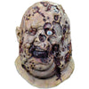 Fester Zombie Mask
