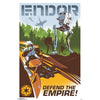 Endor Domestic Poster