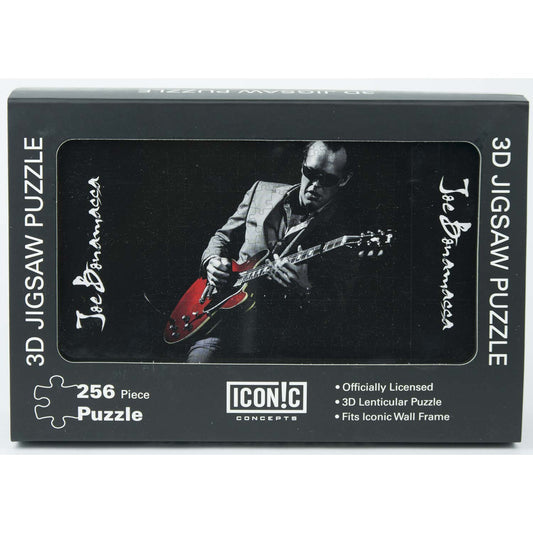 Joe Bonamassa Red Guitar Puzzle