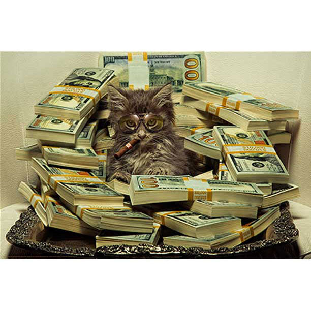 Daveed Benito Money & Pussy Domestic Poster
