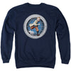 Globe Adult Sweatshirt