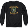 Patch Adult Sweatshirt