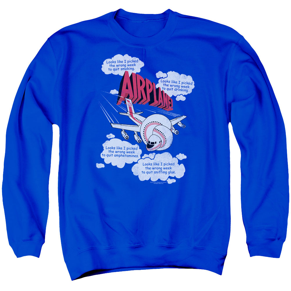 Airplane Picked The Wrong Day Adult Sweatshirt