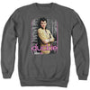 Just Duckie Adult Sweatshirt