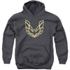 Iconic Firebird Youth 50% Poly Hooded Sweatshirt