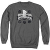 Power Coins Adult Sweatshirt