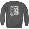 Signature Glasses Adult Sweatshirt