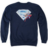 Superman &amp; Crystal Logo Adult Sweatshirt