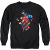 The American Way Adult Sweatshirt