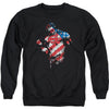 The American Way Adult Sweatshirt