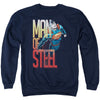 Steel Flight Adult Sweatshirt