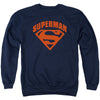 Super Shield Adult Sweatshirt