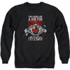 Watchful Eye Adult Sweatshirt