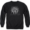 Before Zod Adult Sweatshirt