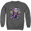 Bizzaro Breakthrough Adult Sweatshirt