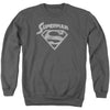 Super Arch Adult Sweatshirt