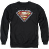 Chained Shield Adult Sweatshirt