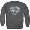 Man Of Steel Shield Adult Sweatshirt