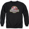 Logo Adult Sweatshirt