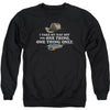 Hat Adult Sweatshirt