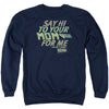 Say Hi Adult Sweatshirt