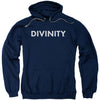 Divinity Logo Adult 25% Poly Hooded Sweatshirt