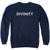 Divinity Logo Adult Sweatshirt