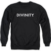 Divinity Logo Adult Sweatshirt