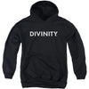 Divinity Logo Youth 50% Poly Hooded Sweatshirt