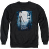 Poster Adult Sweatshirt