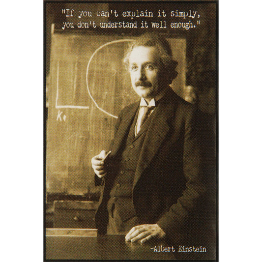 Albert Einstein Explain Domestic Poster