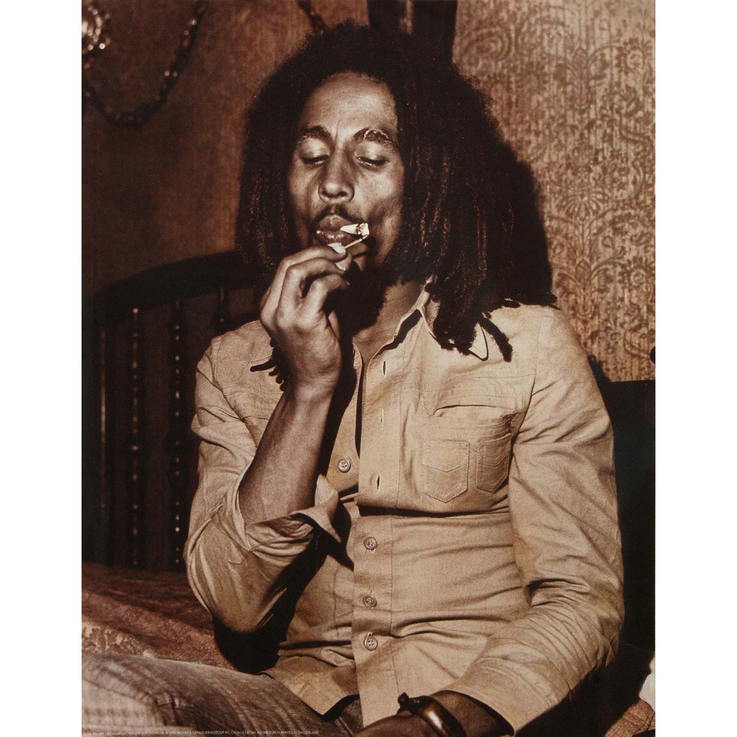 Bob Marley Robert Nesta Domestic Poster