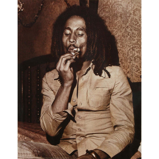Bob Marley Robert Nesta Domestic Poster